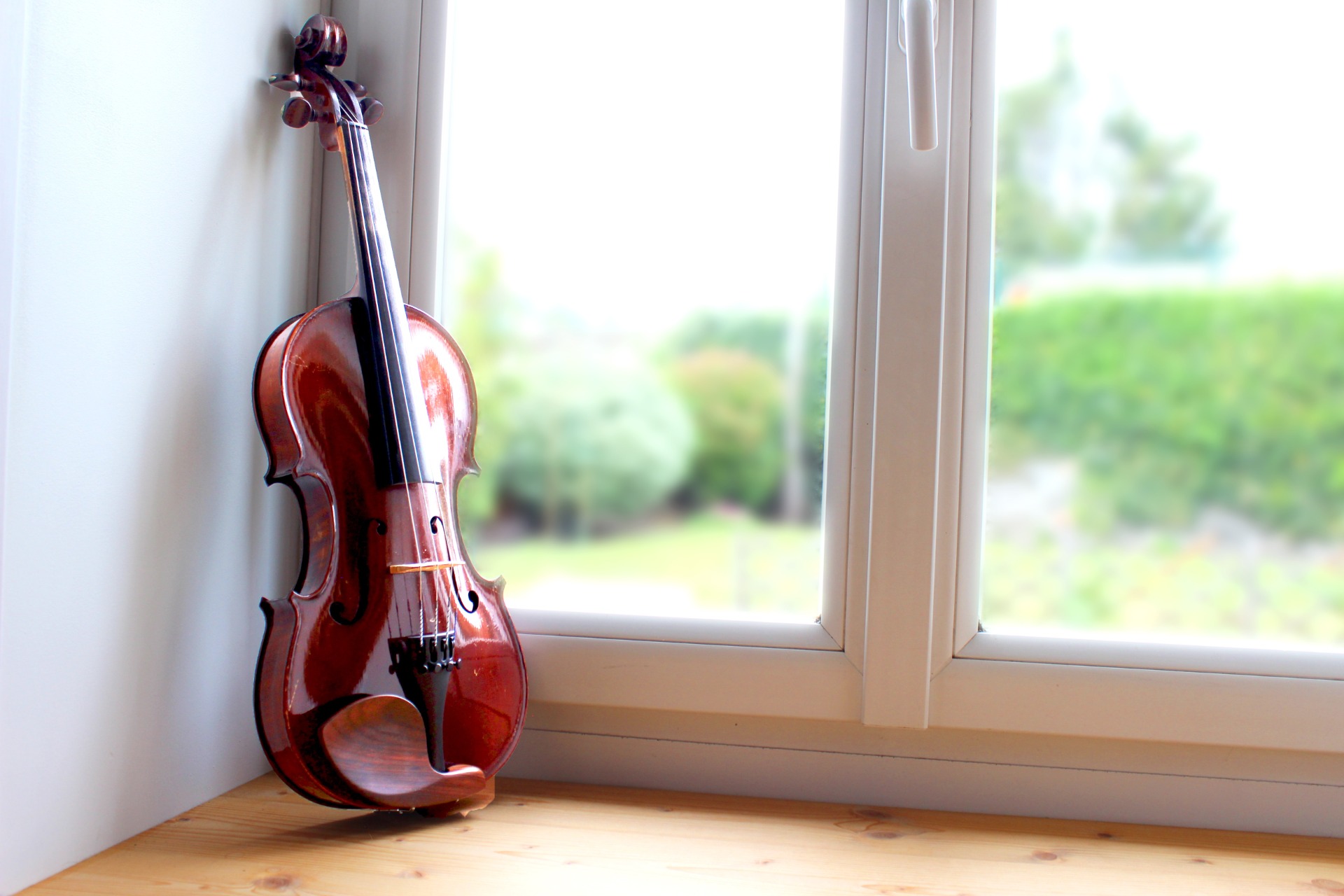 Singapore violin